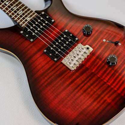 PRS SE Custom 24 2018 - 2019 - Fire Red Burst