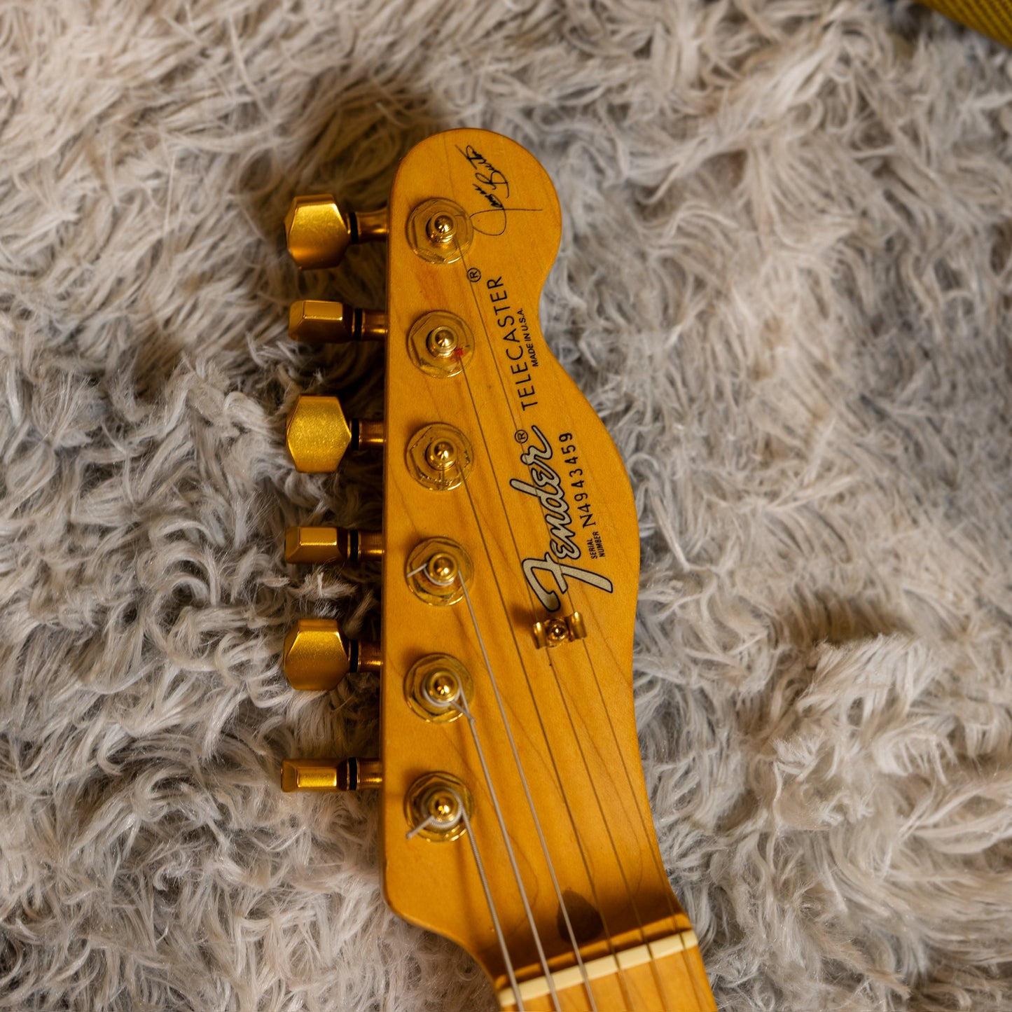 Fender James Burton US Signature Telecaster 1990 - 2006 - Black with Gold Paisley
