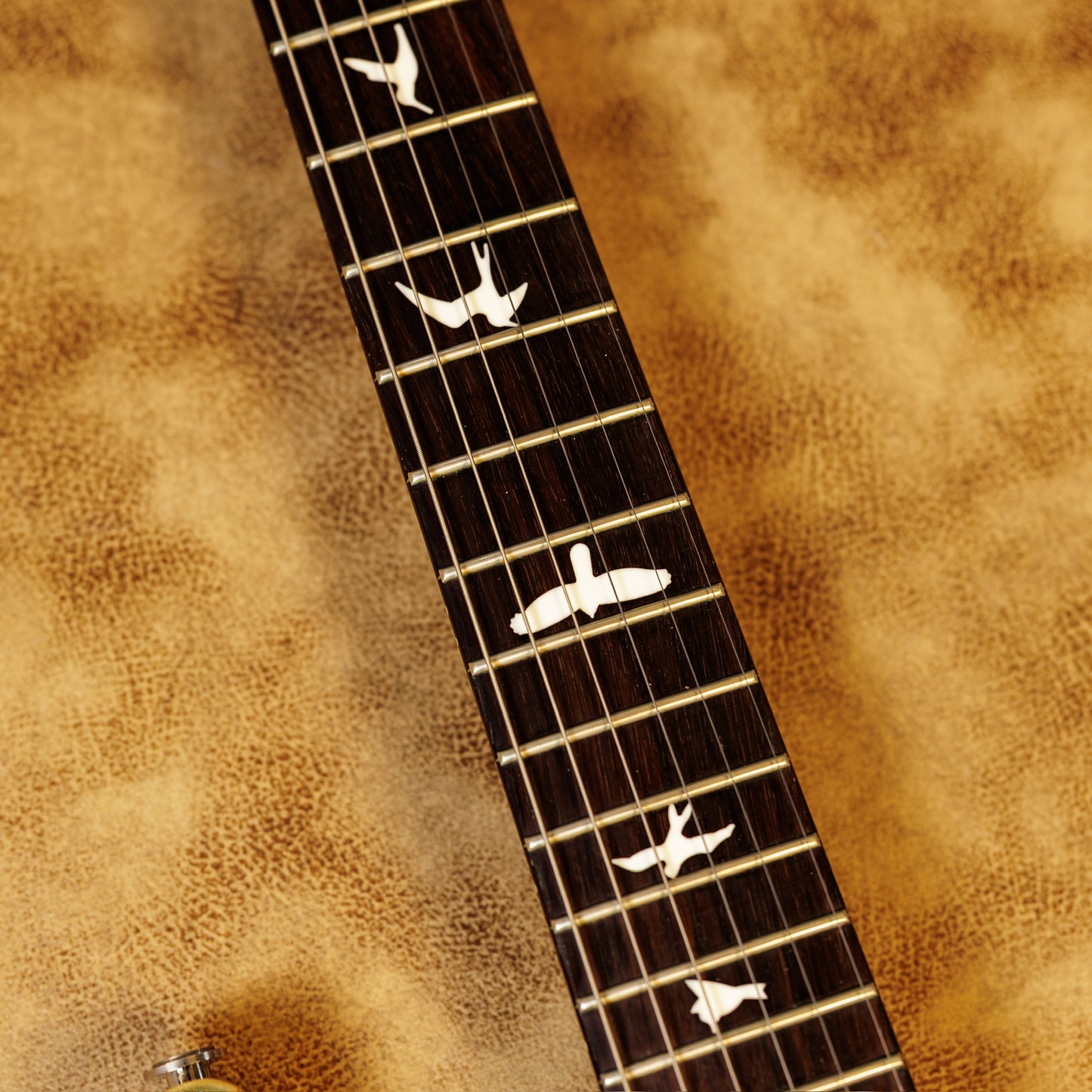 PRS CE 24 2016 - Present - Trampas Green