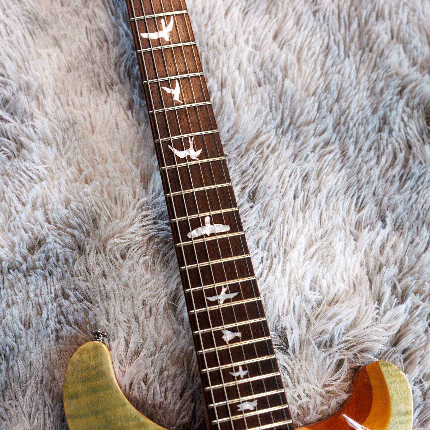 Minty PRS SE Custom 24 2017 - 2019 - Trampas Green