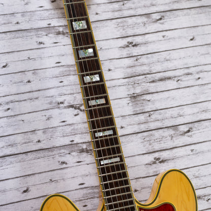 This One Sings - 2005 Epiphone Sheraton II - Natural