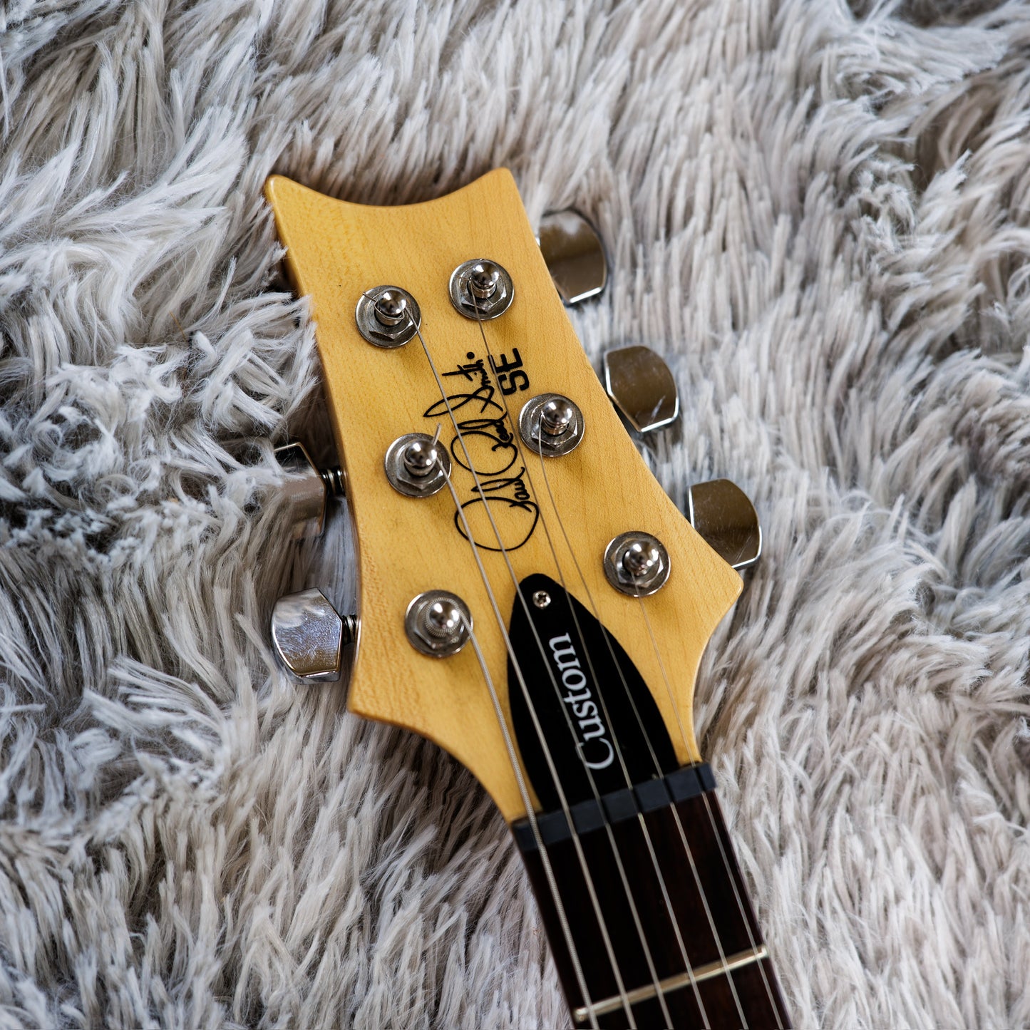 PRS SE Custom 24 2017 - 2019 - Trampas Green