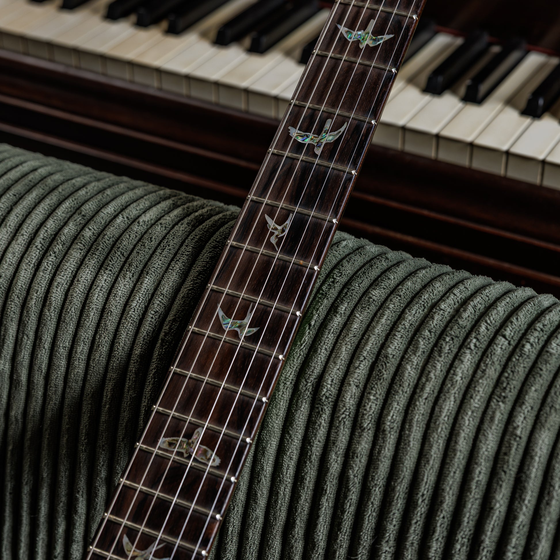 PRS Custom 24 Wood Library
