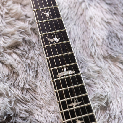 PRS SE Mark Holcomb 2017 - 2022 - Holcomb Burst