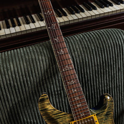 PRS 25th Anniversary Custom 24 10-Top 2010 - Faded Whale Blue