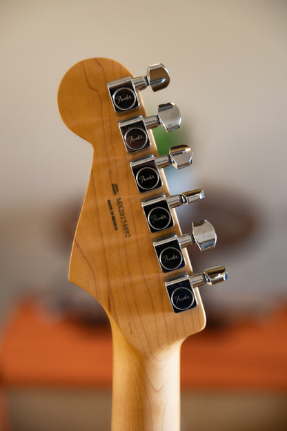 Fender Player Stratocaster with Pau Ferro Fretboard 2018 - Present - Silver