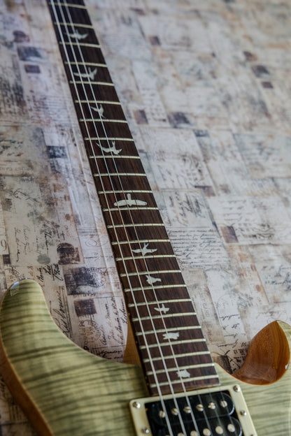 PRS SE Custom 24 2024 - Blue Fade