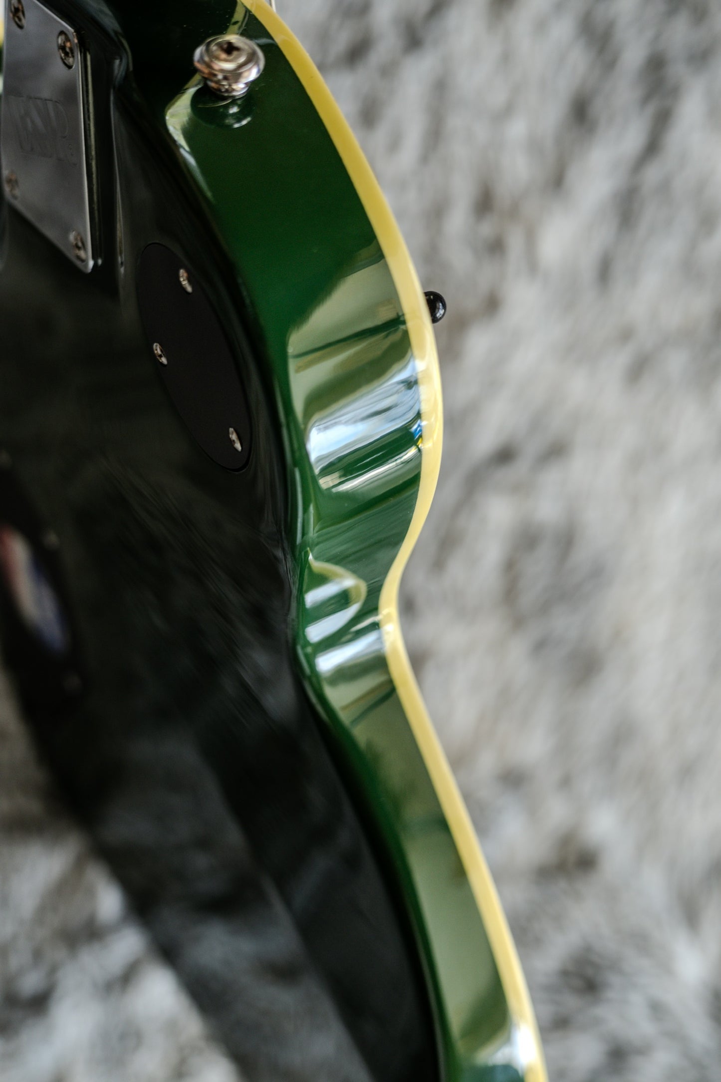 ESP LTD WA-600 Will Adler Signature 2007 - 2008 - Dark Green Camo