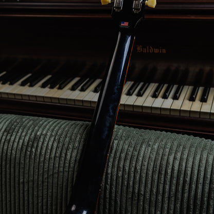 Gibson "Fruit of the Loom" Special Edition Blueshawk 1997 - Ebony