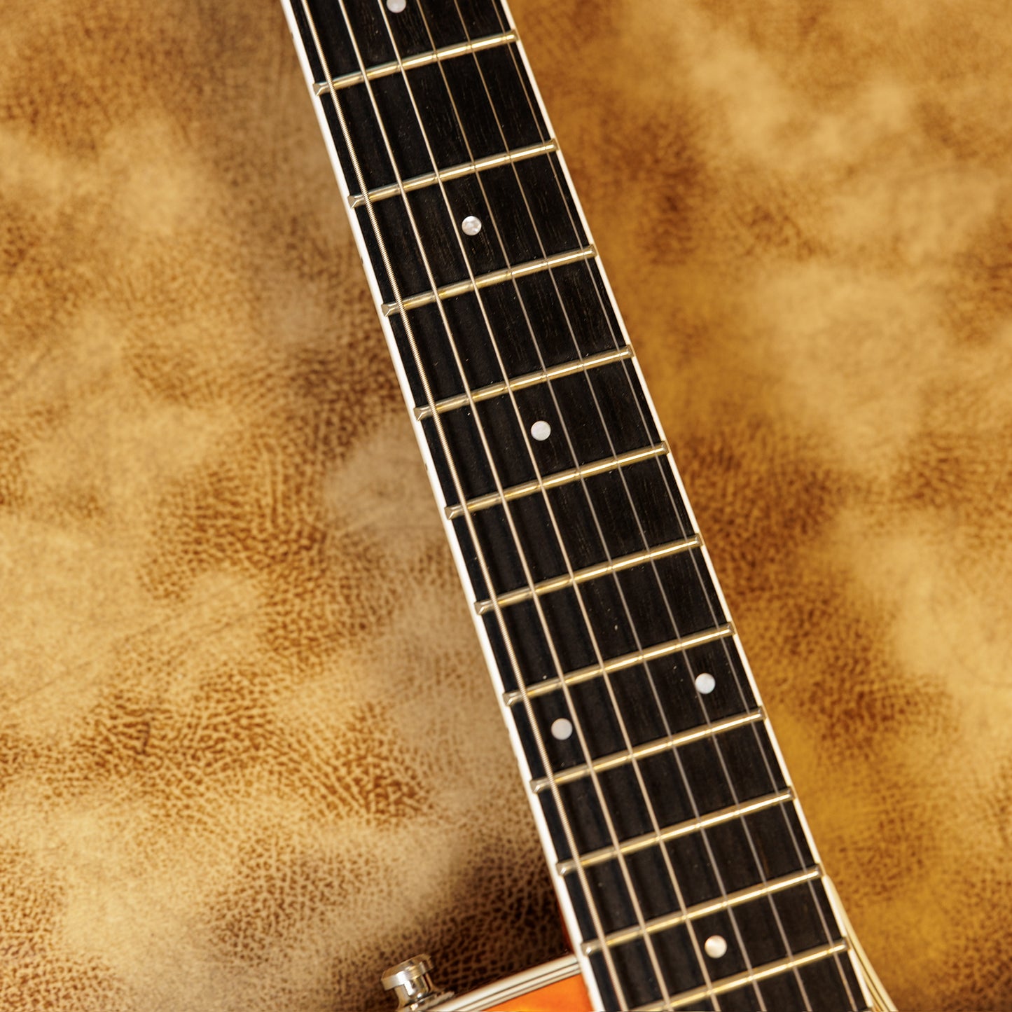 Taylor T3/B 2009 - Present - Orange
