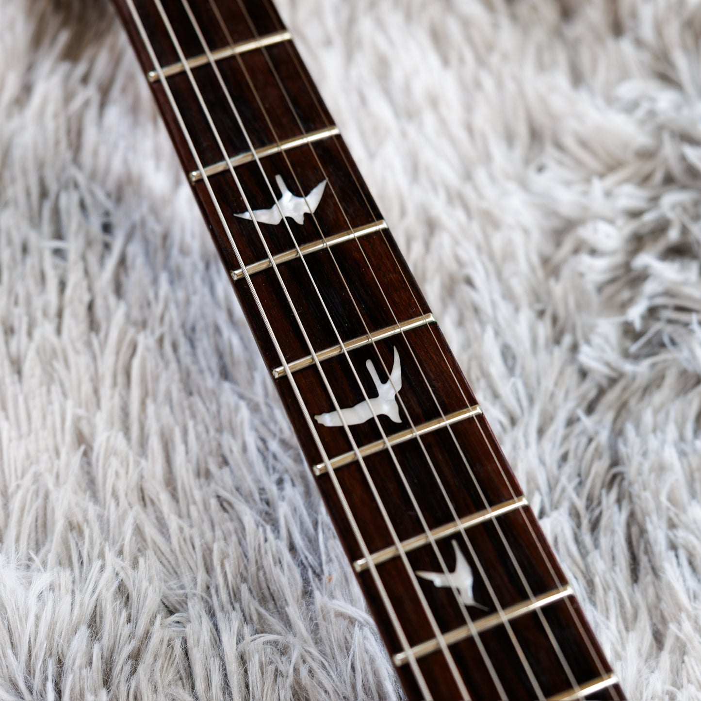 PRS SE Custom 24 2017 - 2019 - Trampas Green