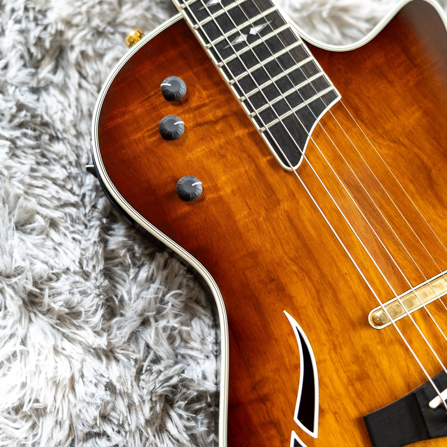 Taylor T5z Custom K with Koa Top 2014 - Present - Shaded Edgeburst