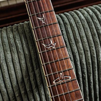 PRS 25th Anniversary Custom 24 10-Top 2010 - Faded Whale Blue