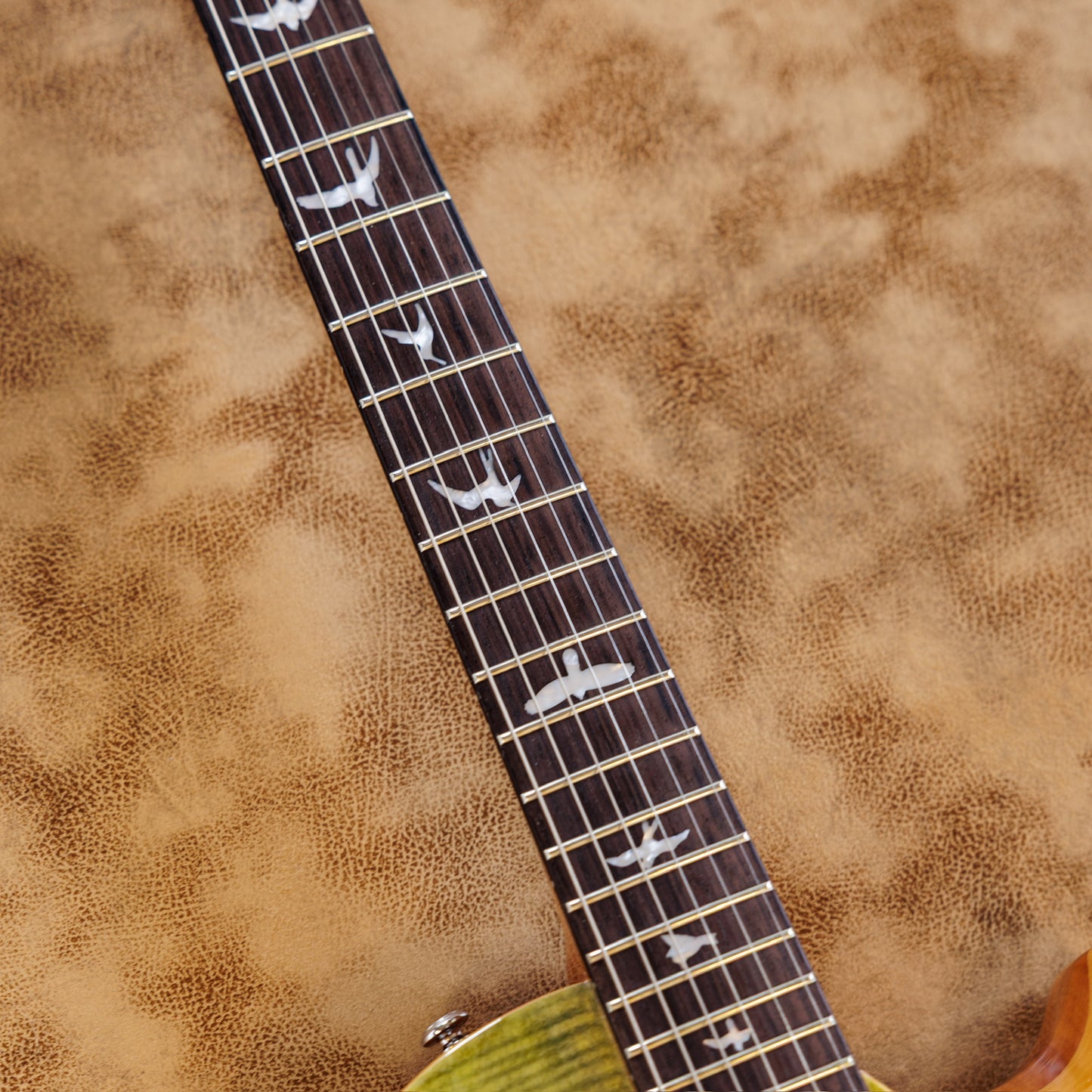 PRS SE Zach Myers 2014 - 2017 - Trampas Green