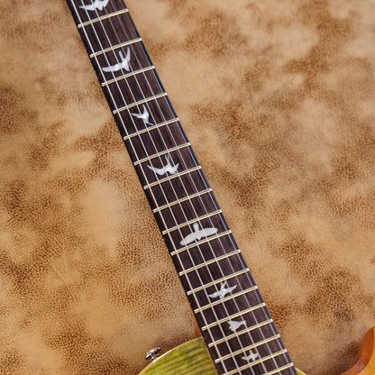 PRS SE Zach Myers 2014 - 2017 - Trampas Green