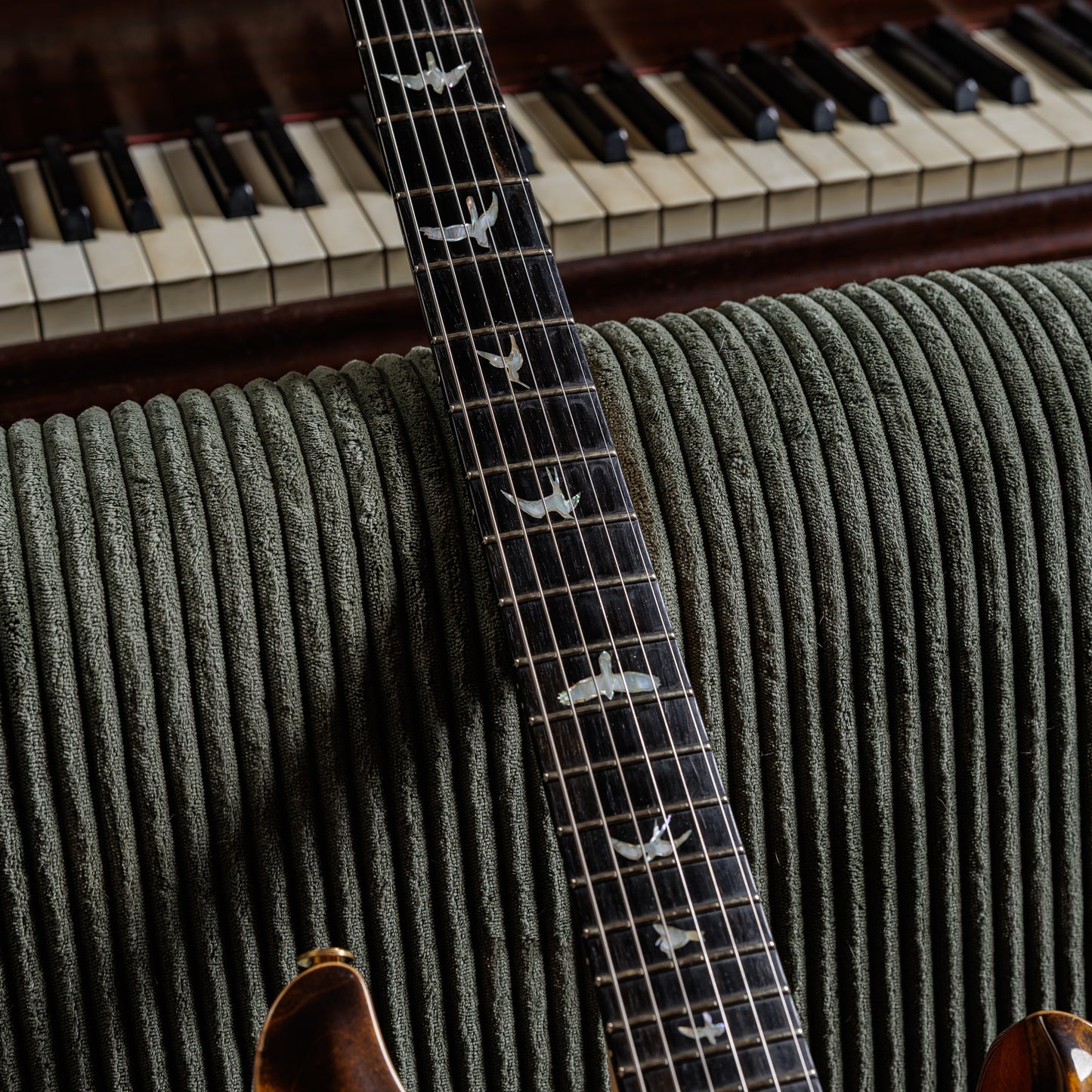 PRS Custom 24 Wood Library