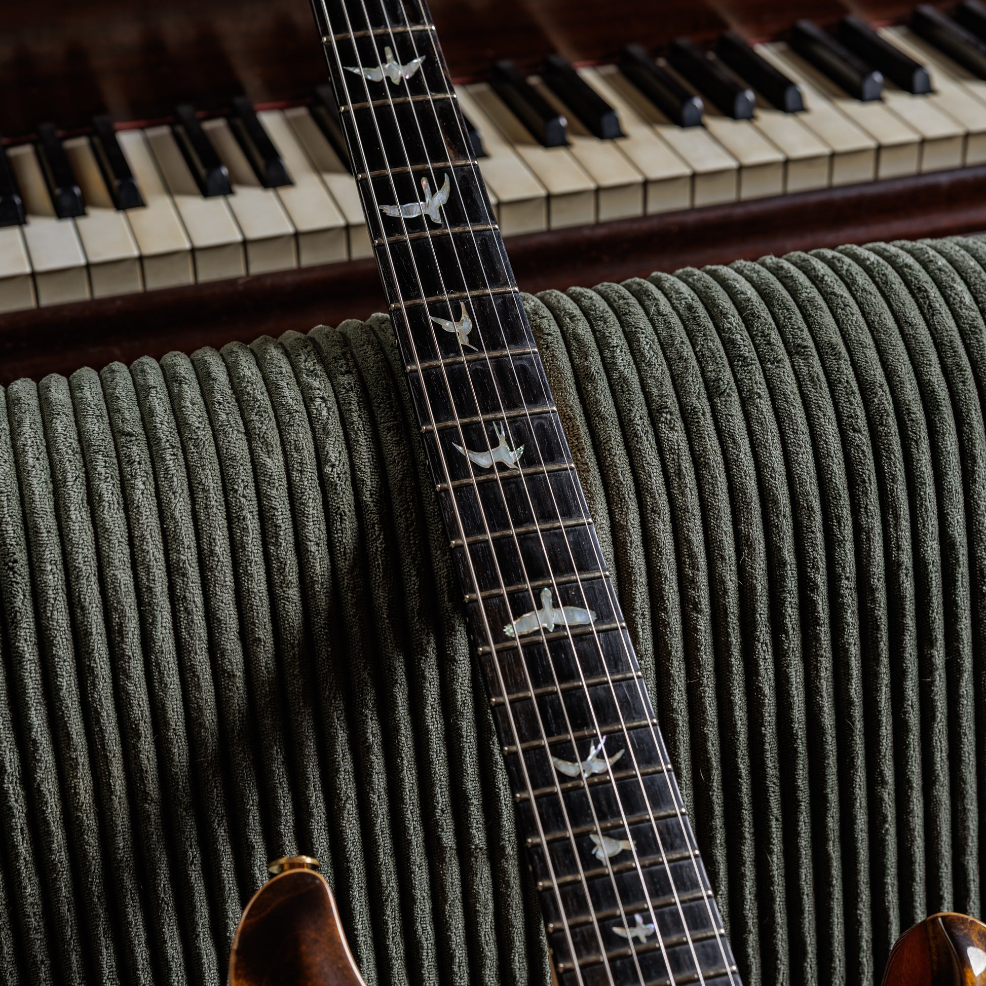 PRS Custom 24 Wood Library