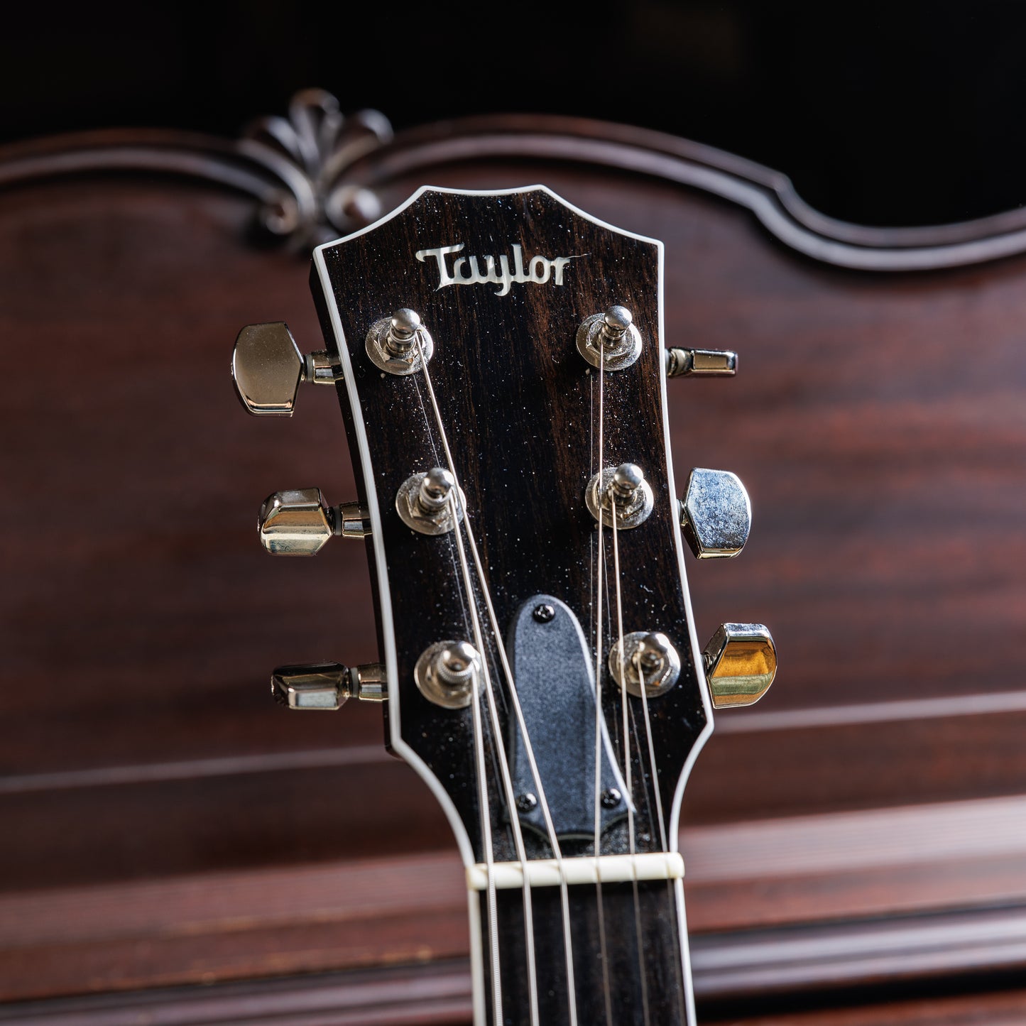 Taylor T5z Standard with Sitka Spruce Top 2014 - Present - Black
