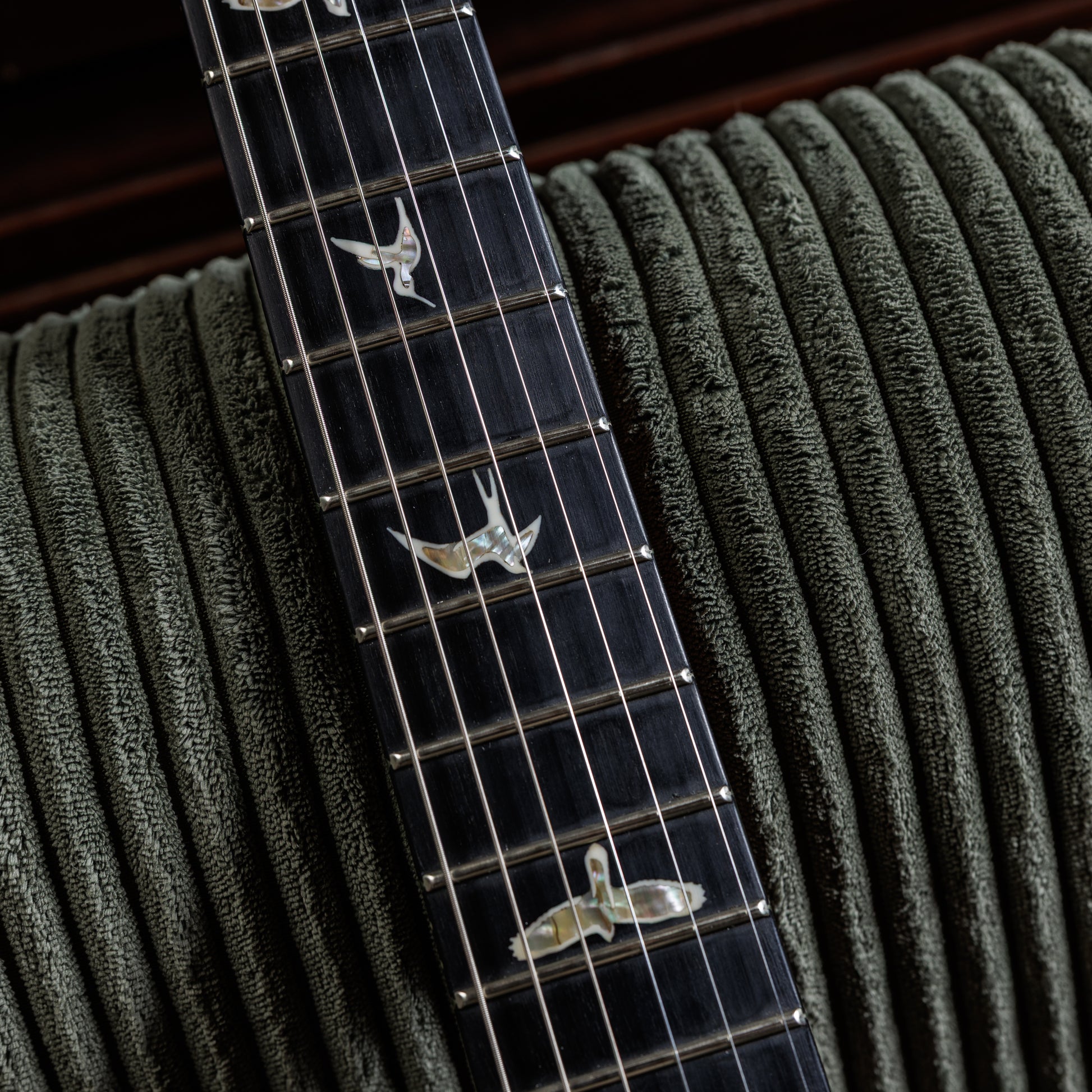 PRS Custom 24 Wood Library