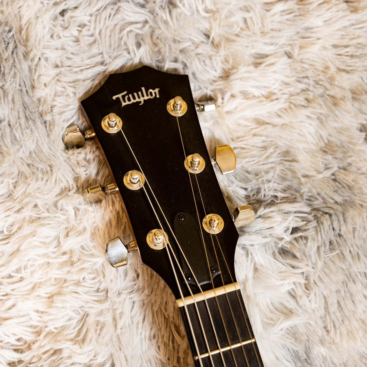 Taylor T5 Classic with Tropical Mahogany Top 2014 - 2017 - Natural
