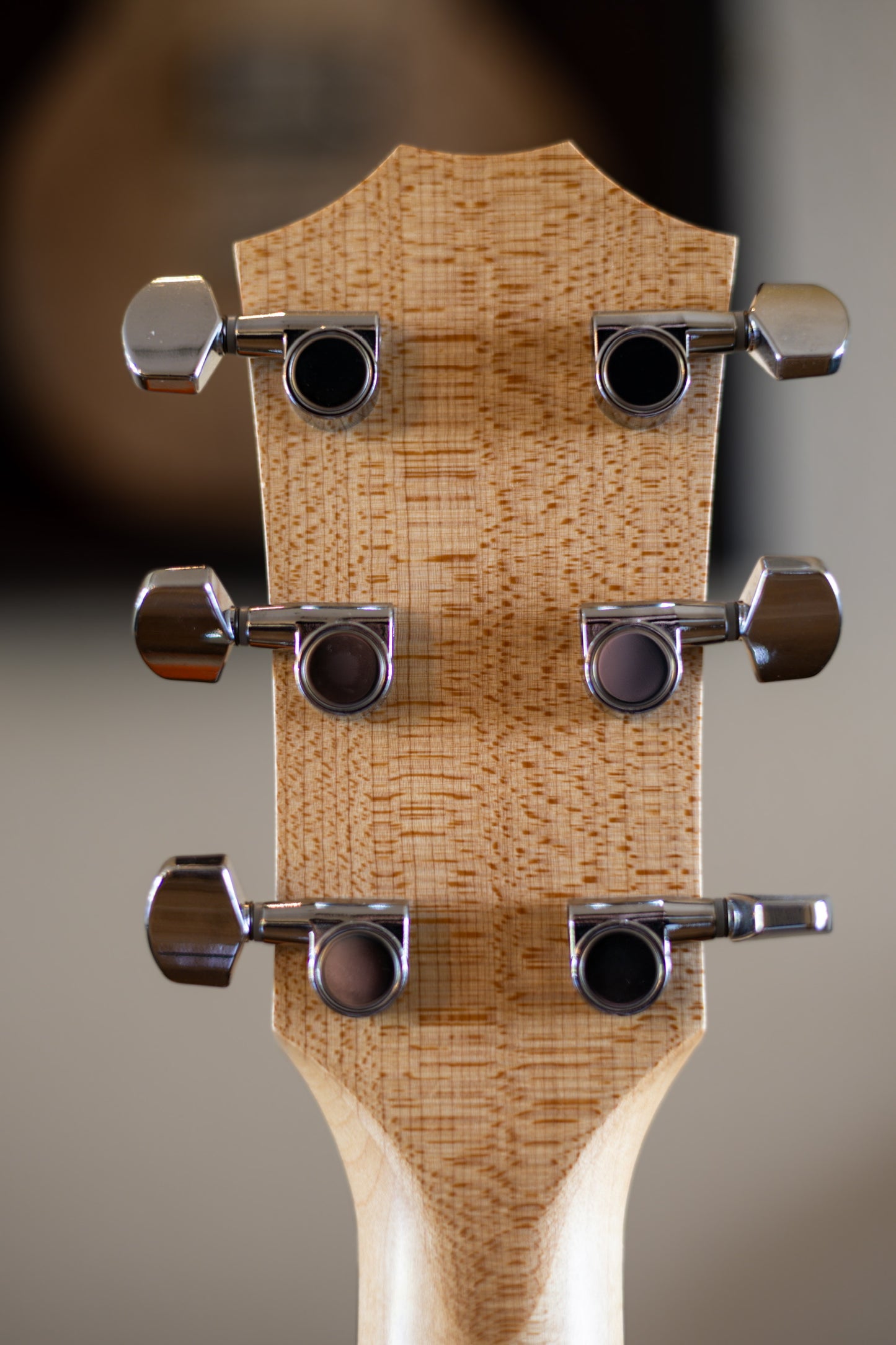 Taylor 114e Walnut with Maple Neck 2019 - Present - Natural
