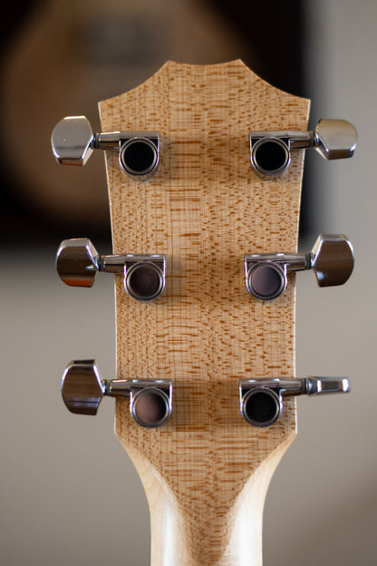 Taylor 114e Walnut with Maple Neck 2019 - Present - Natural