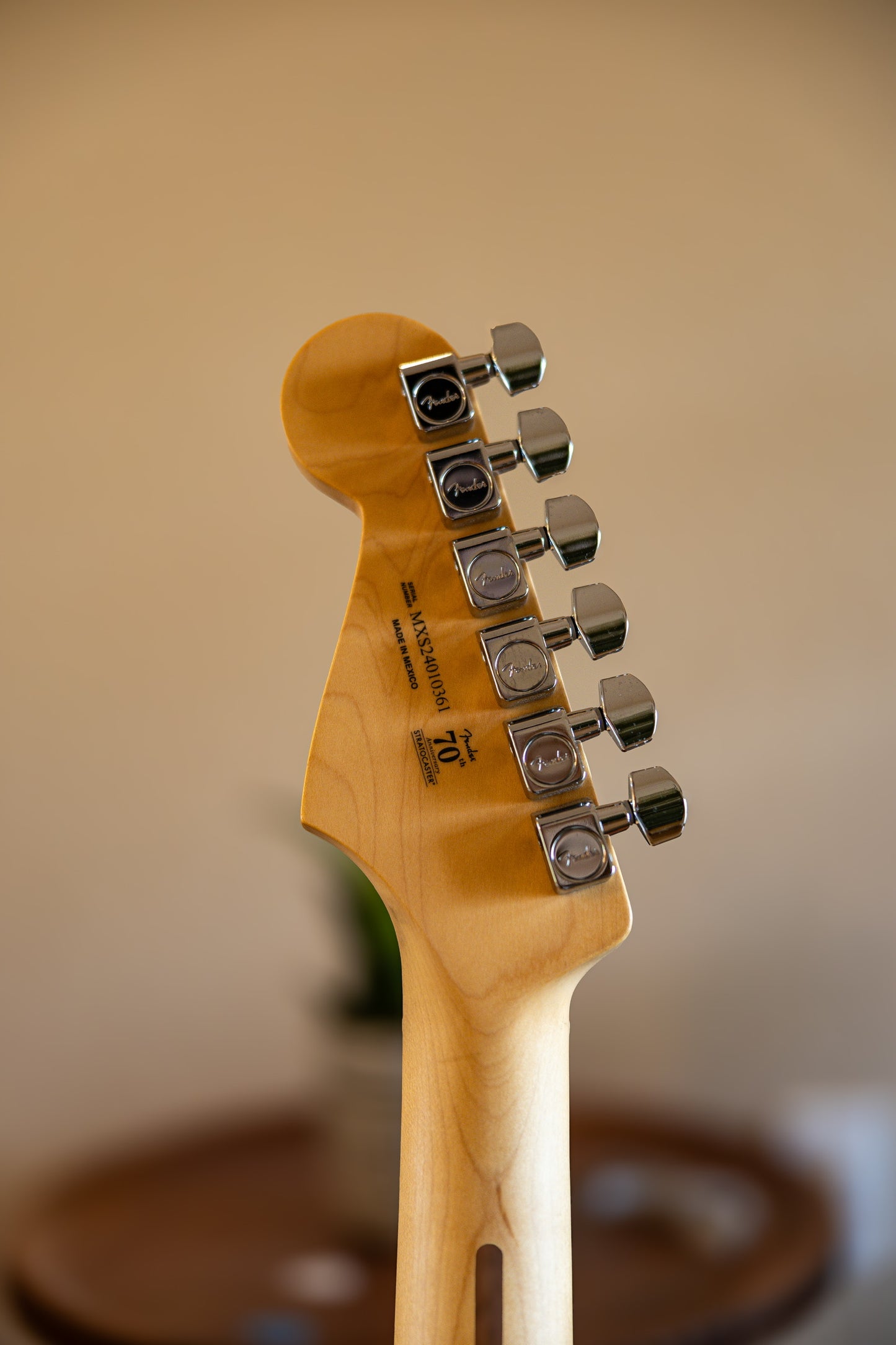 Fender Player Stratocaster with Maple Fretboard 2019 - 2021 - Surf Pearl