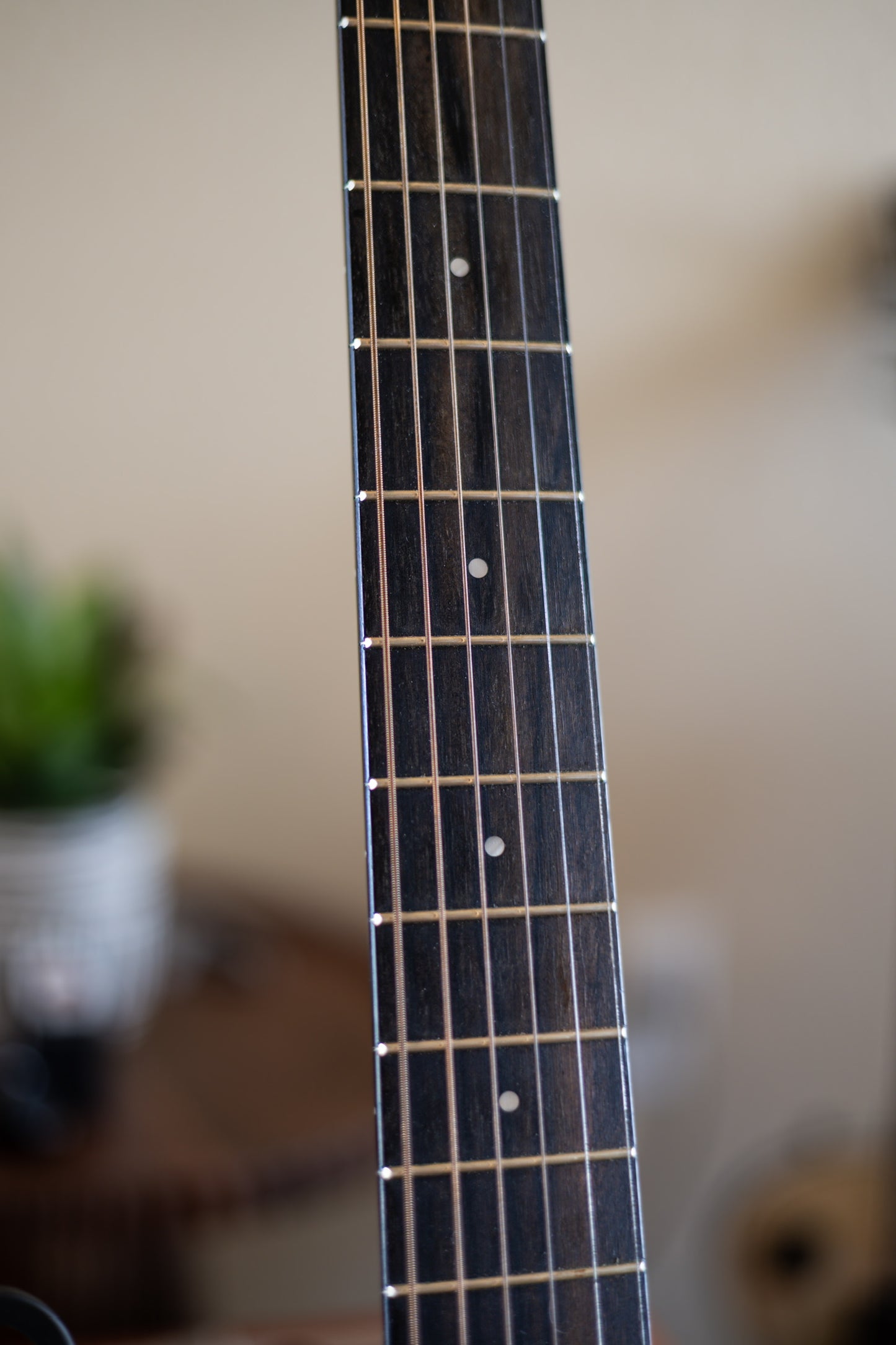 Taylor 114e Walnut with Maple Neck 2019 - Present - Natural