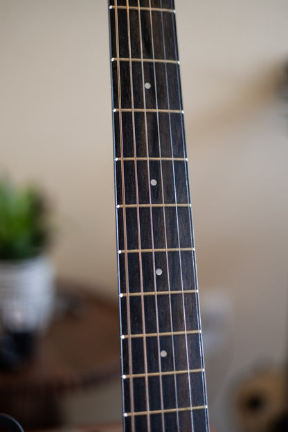 Taylor 114e Walnut with Maple Neck 2019 - Present - Natural
