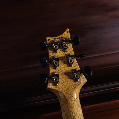 PRS Custom 24 Semi-Hollow Wood Library