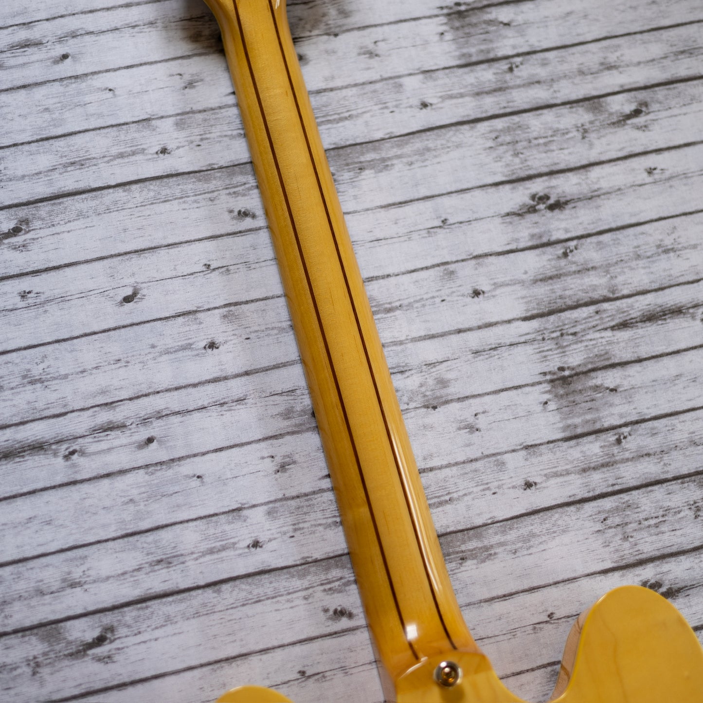 This One Sings - 2005 Epiphone Sheraton II - Natural