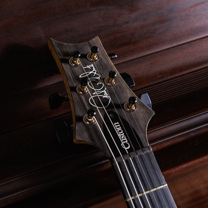 PRS Custom 24 Semi-Hollow Wood Library