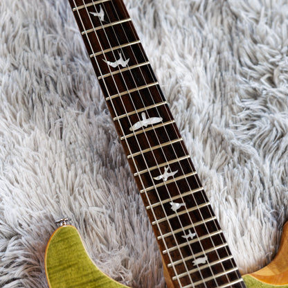 PRS SE Custom 24 2017 - 2019 - Trampas Green