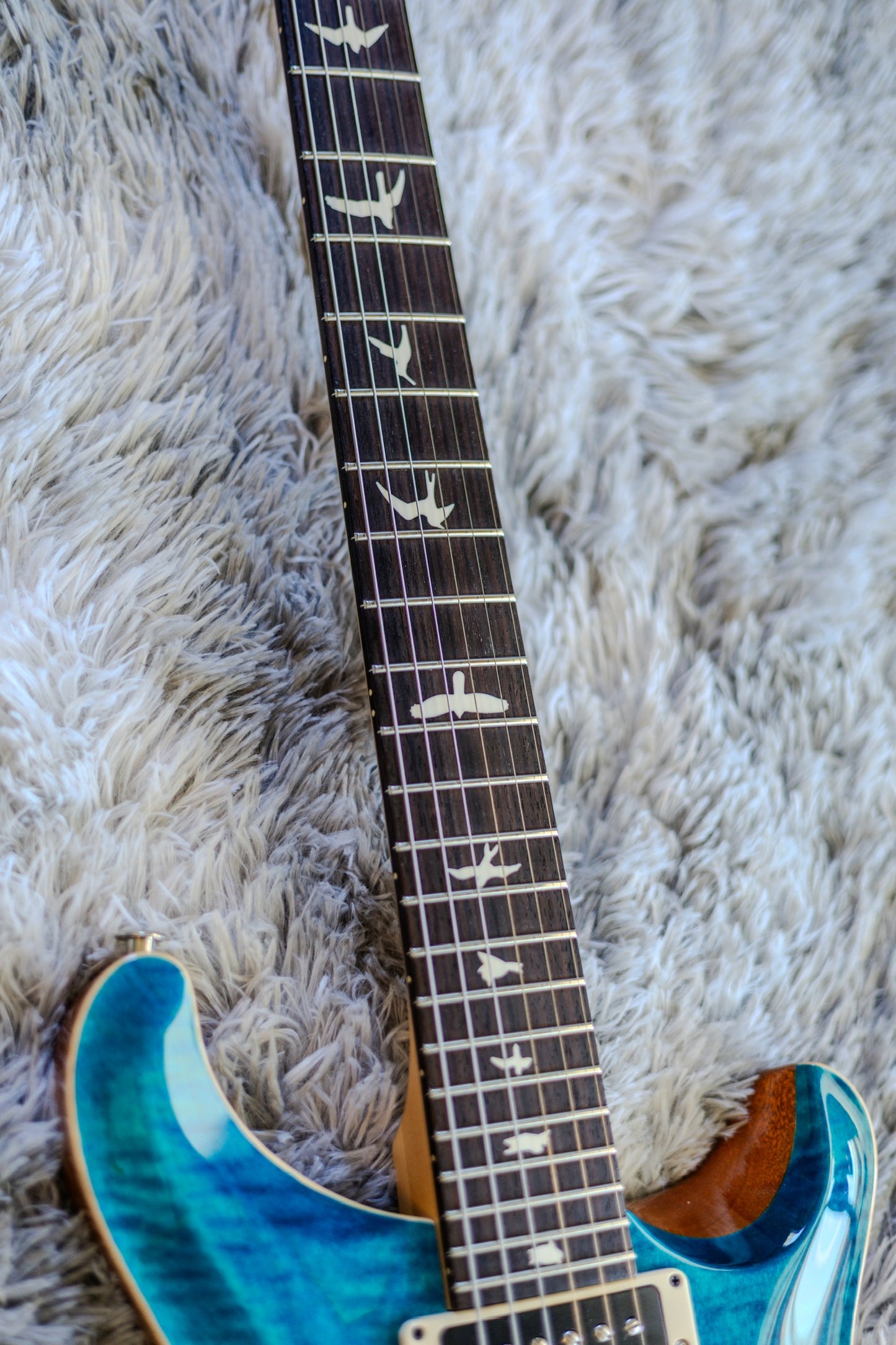 PRS CE 24 Semi-Hollow 2019 - 2020 - Blue Matteo