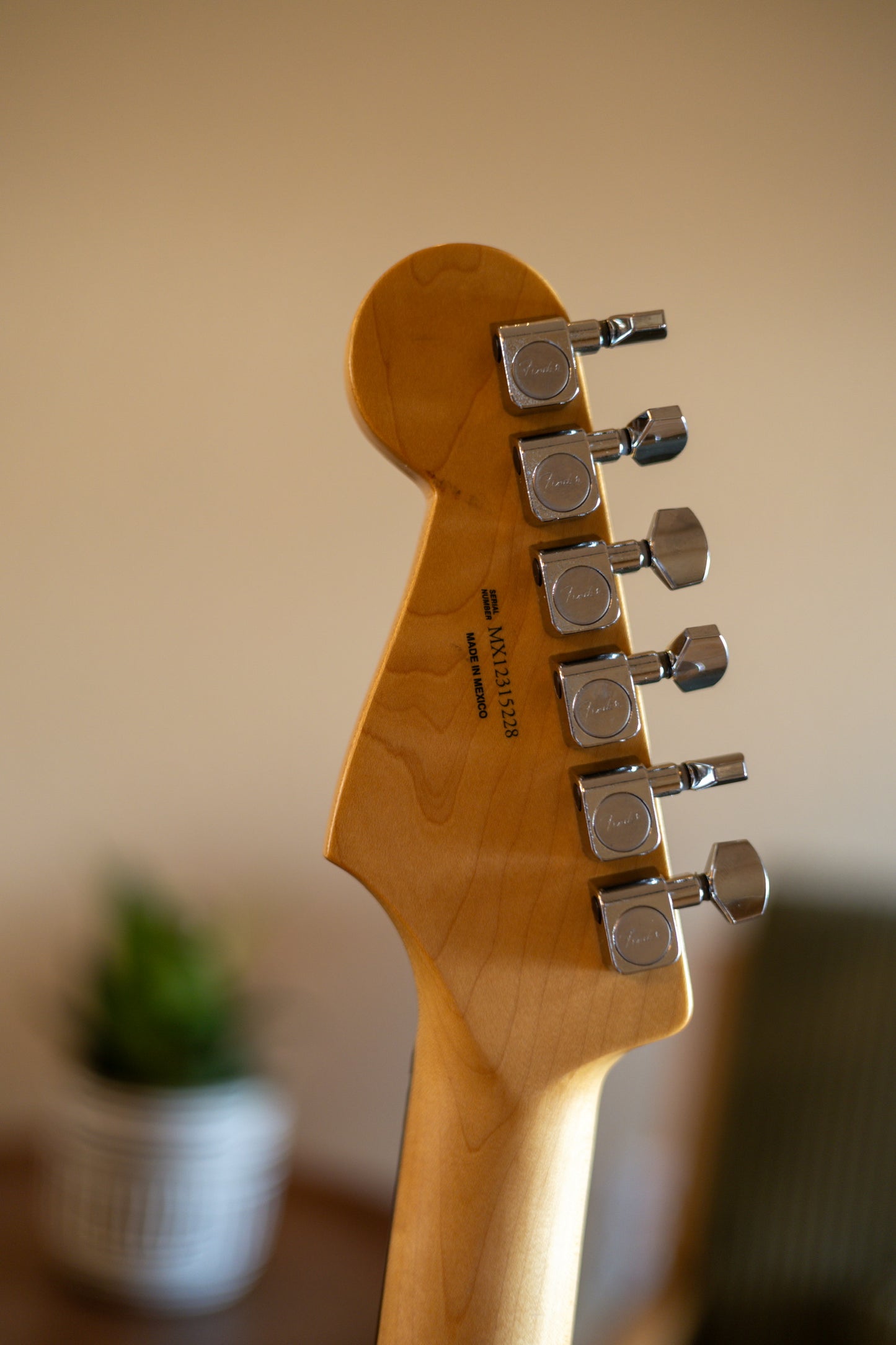 Fender Standard Stratocaster with Rosewood Fretboard 2009 - 2017 - Candy Apple Red