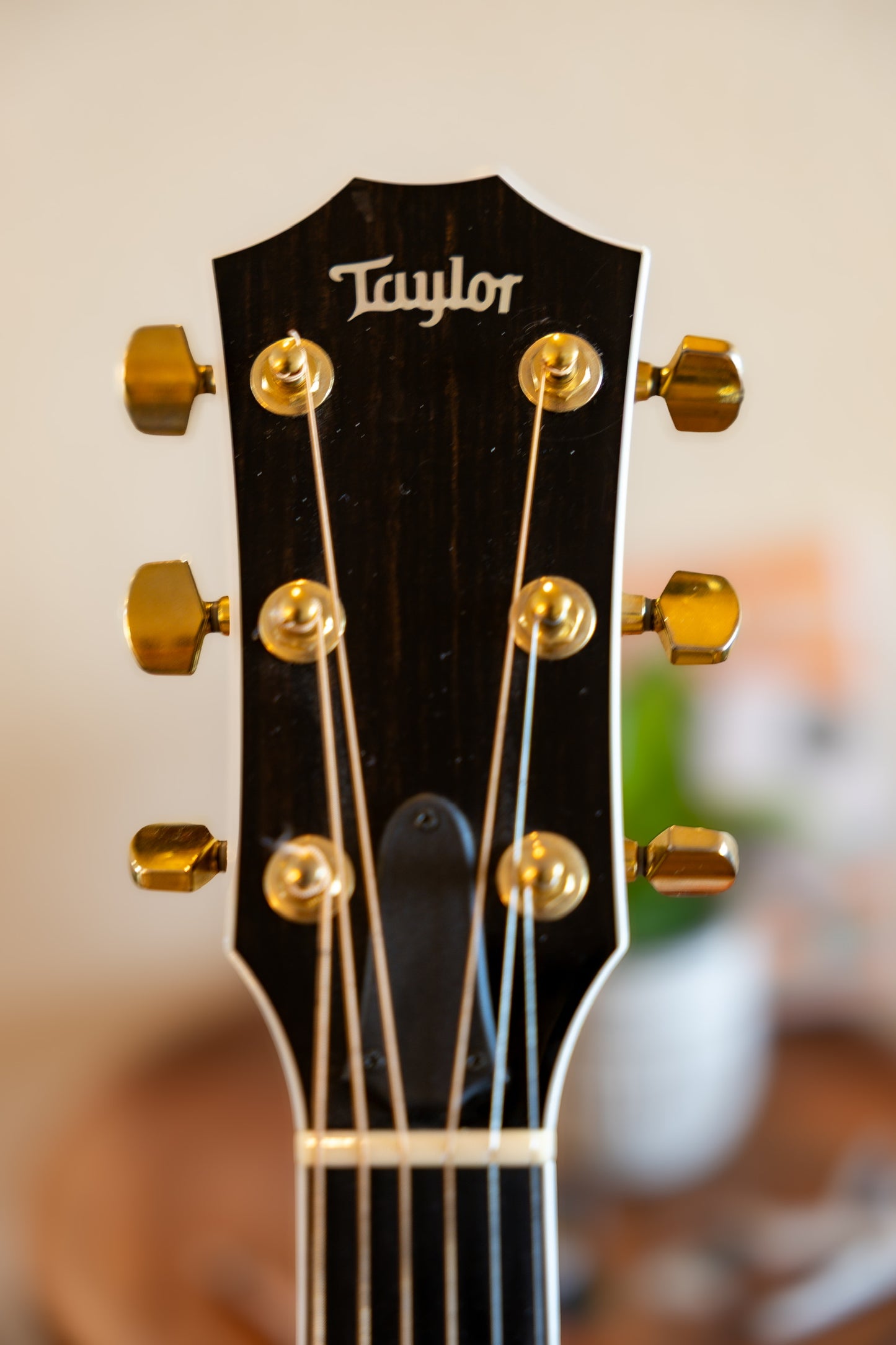 Taylor T5-C4 Custom Walnut 2005 - 2013 - Walnut Shaded Edgeburst