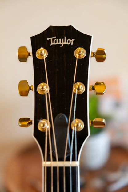 Taylor T5-C4 Custom Walnut 2005 - 2013 - Walnut Shaded Edgeburst