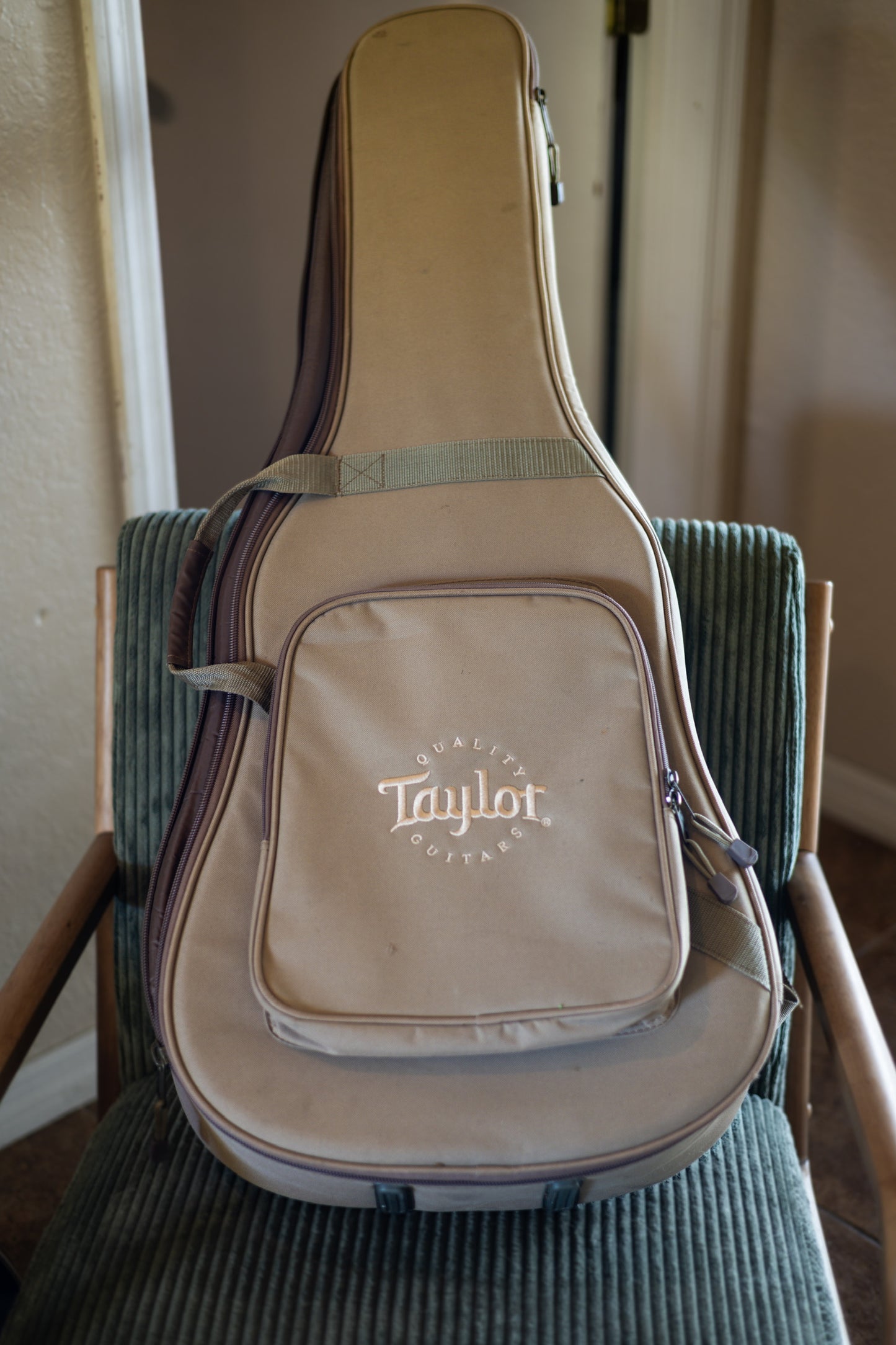 Taylor 114e Walnut with Maple Neck 2019 - Present - Natural