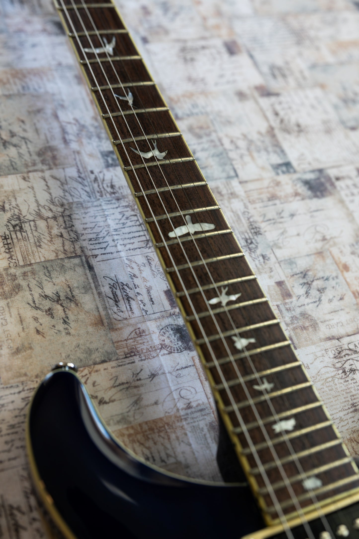 PRS SE Standard 24 2018 - 2023 - Translucent Blue