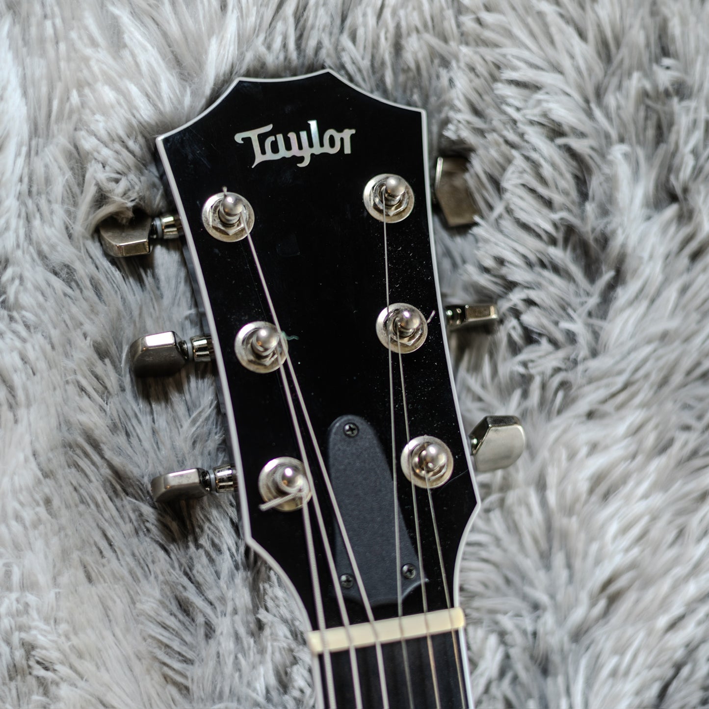 Taylor T5z Standard CLEAN with Sitka Spruce Top 2014 - Present - Black