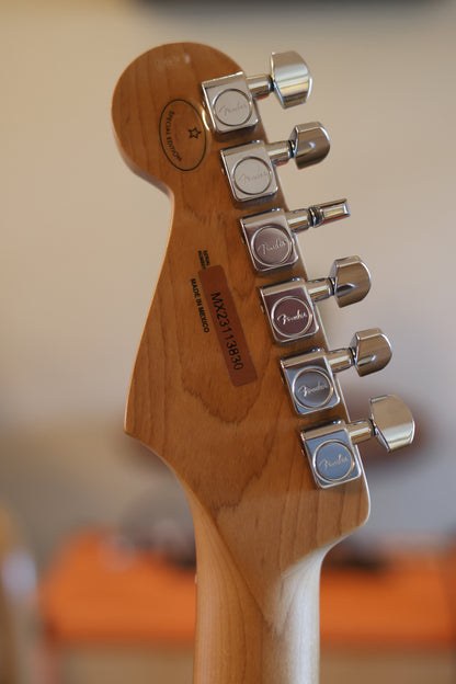 Fender Player Stratocaster with Pau Ferro Fretboard 2018 - Present - Black