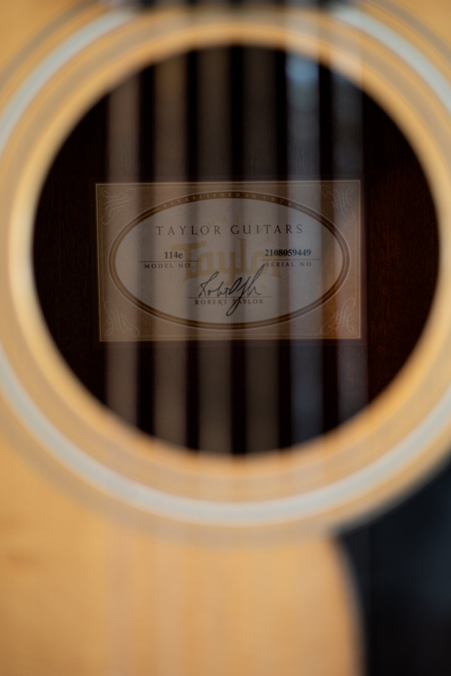 Taylor 114e Walnut with Maple Neck 2019 - Present - Natural