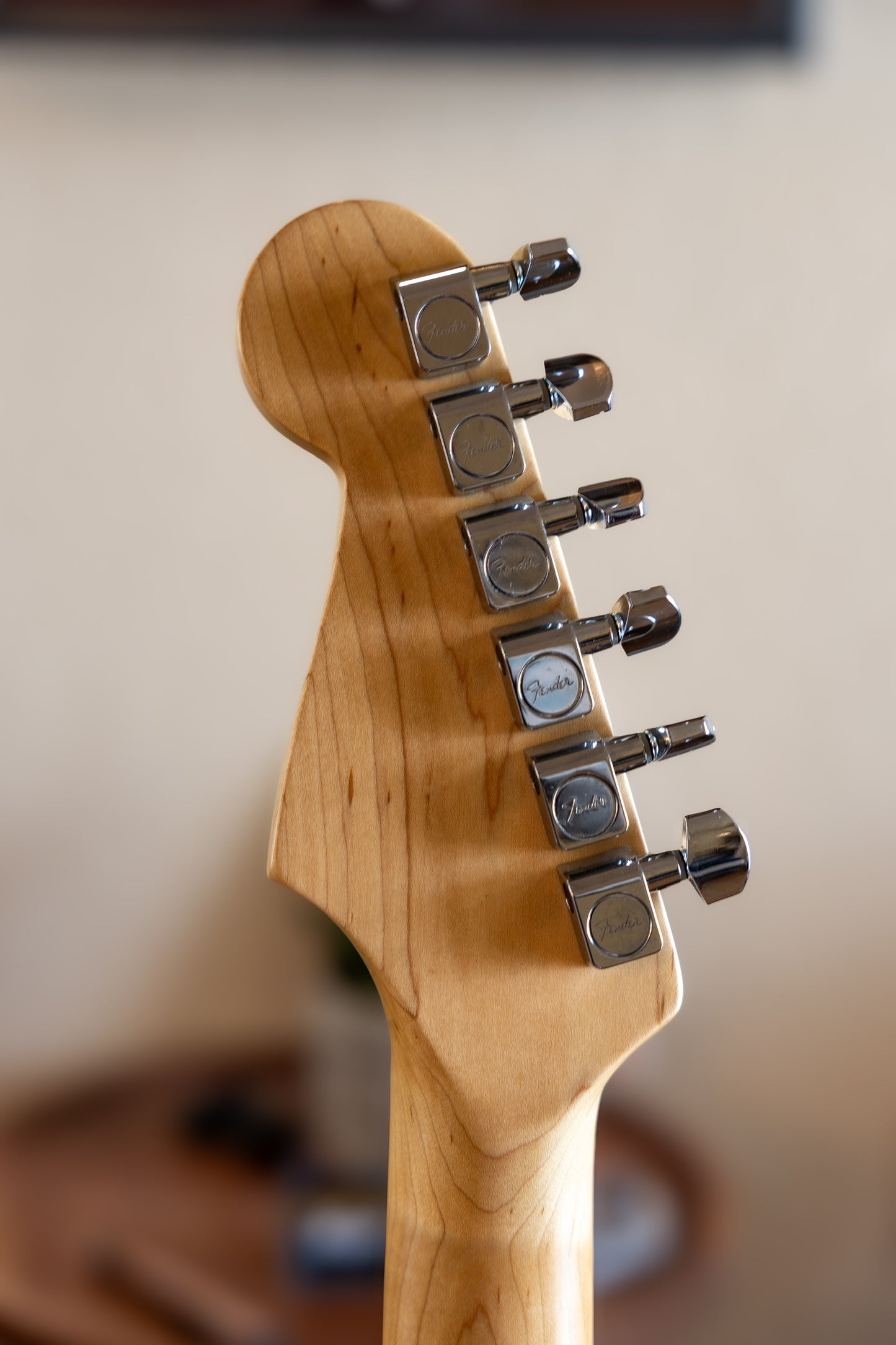 Fender Player Stratocaster with Pau Ferro Fretboard 2018 - 2021 - Sage Green Metallic