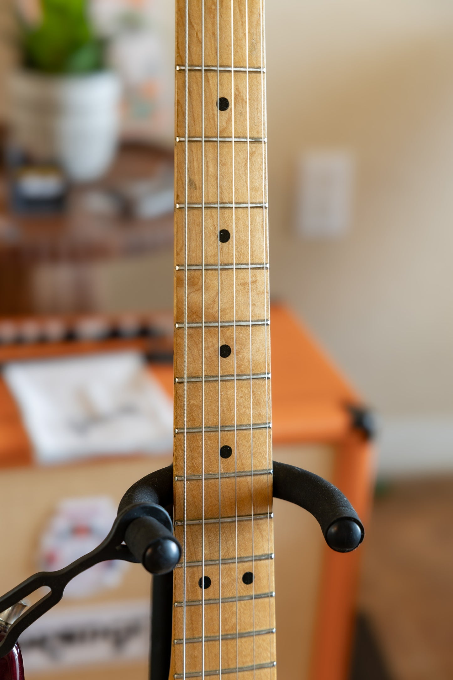 Fender Standard HSS Stratocaster with Maple Fretboard 1999 - 2005 - Midnight Wine