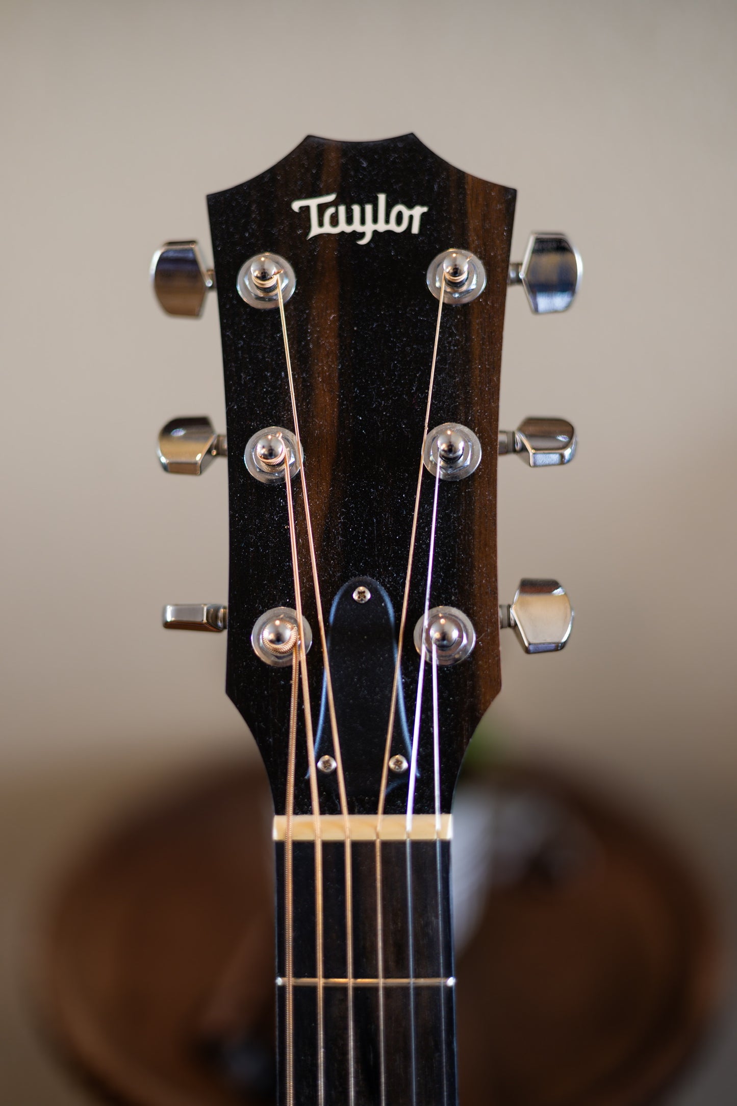 Taylor 114e Walnut with Maple Neck 2019 - Present - Natural