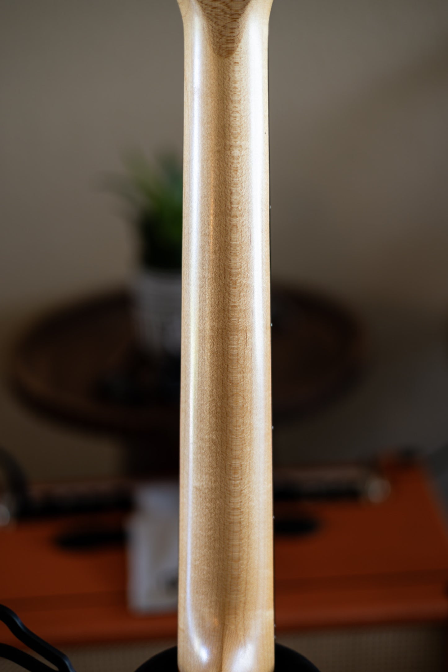 Taylor 114e Walnut with Maple Neck 2019 - Present - Natural