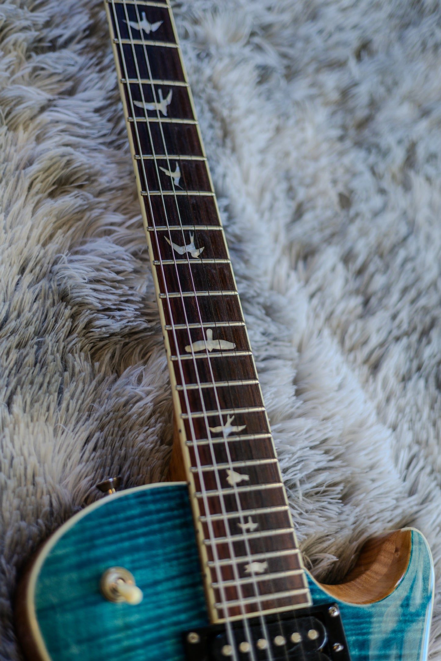 PRS SE Zach Myers Blue w/ Gig Bag