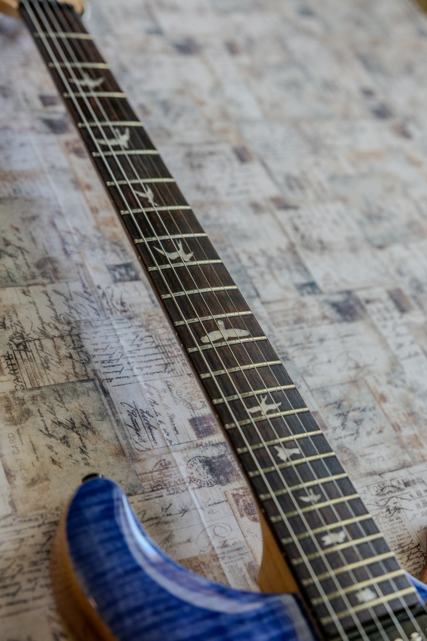 PRS SE Custom 24 2024 - Blue Fade