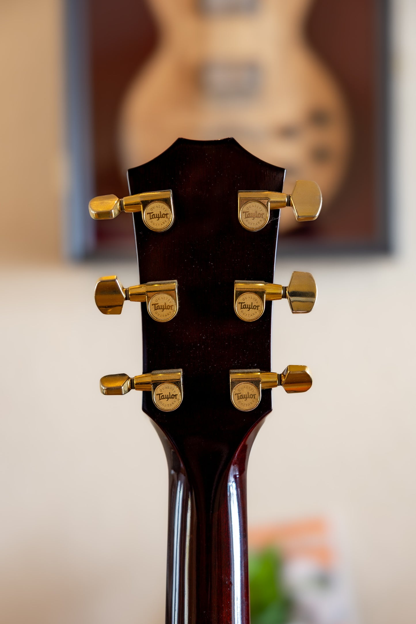 Taylor T5-C4 Custom Walnut 2005 - 2013 - Walnut Shaded Edgeburst